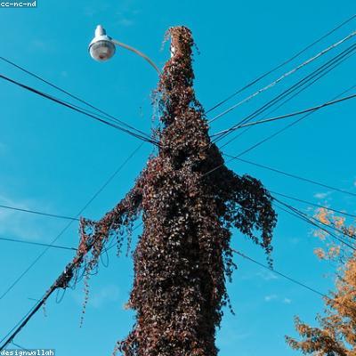 擦边短剧在线观看免费