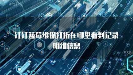 多乘单CRM返点查询与信息系统运行维护服务详解